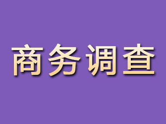 汤阴商务调查